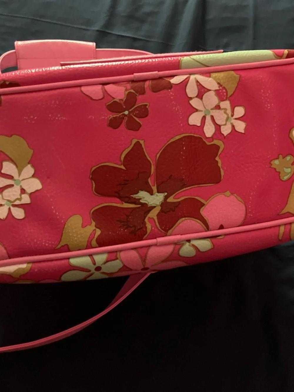 Vintage roxy travel bag